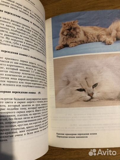 Книга Атлас пород кошек