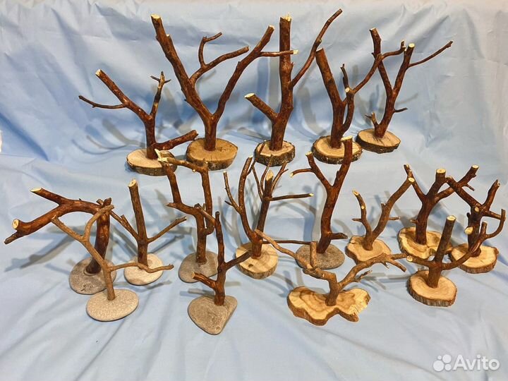 Стволы, Заготовки для бонсай, деревьев из цетрарии