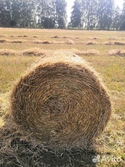 Солома в рулонах