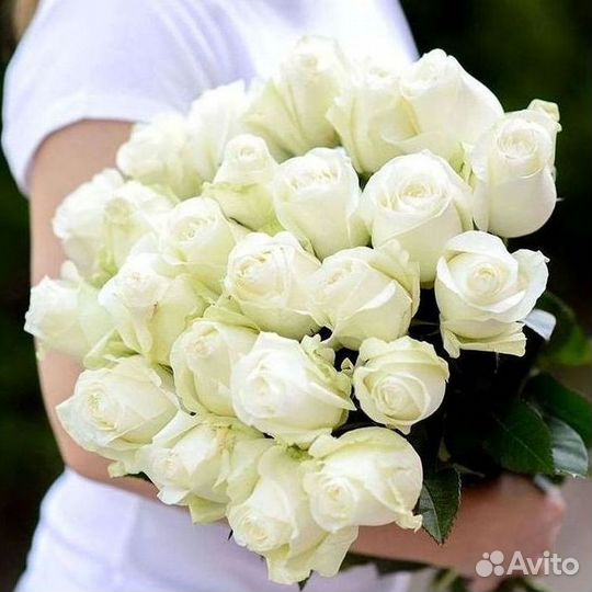 Розы Цветы Букеты 25 51 151 201 101 301 501 опт