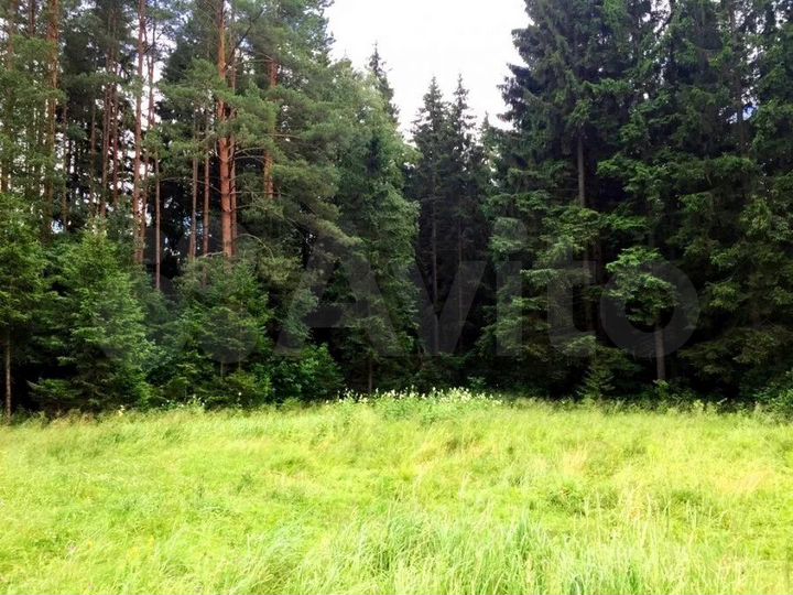 Участок 15 сот. (СНТ, ДНП)