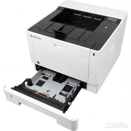 Принтер Kyocera Ecosys P2040DN 613302