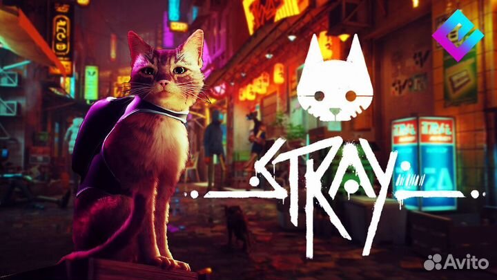 Stray Ps & Ps5