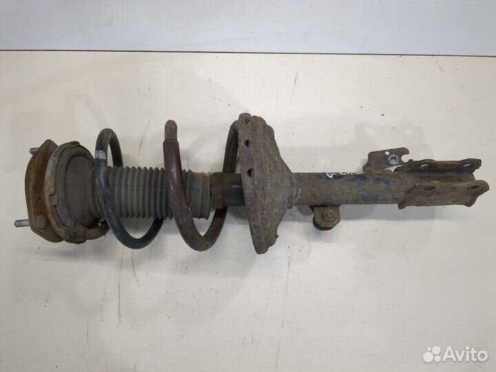 Амортизатор подвески Lexus RX, 2005