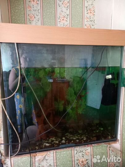 Аквариум
