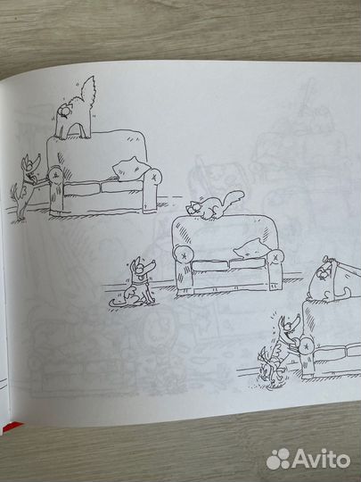 Кот Саймона