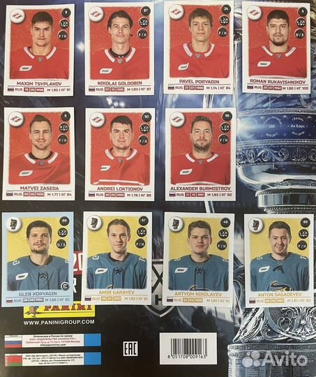 Наклейки panini кхл 2023/2024