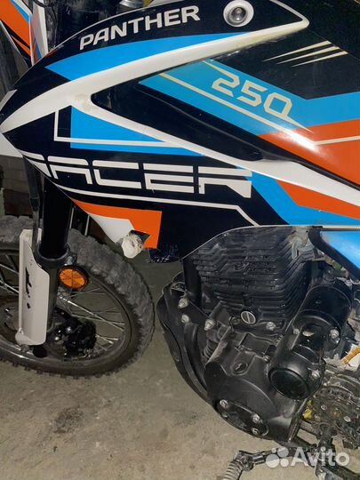 Рейсер 250