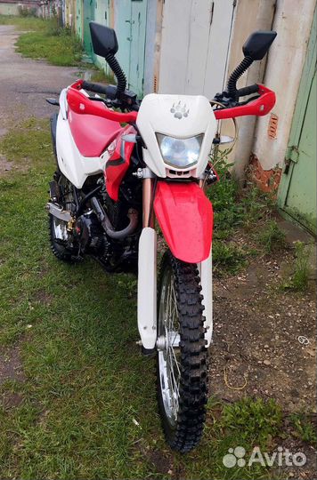 Irbis TTR250 с птс
