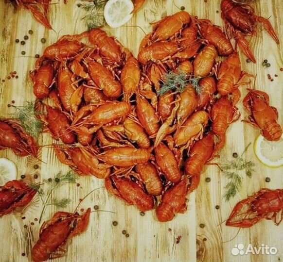 Раки живые,вареные.Креветки,лангустины