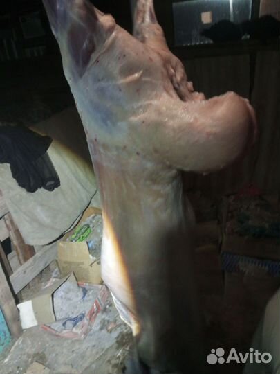 Мясо баранина