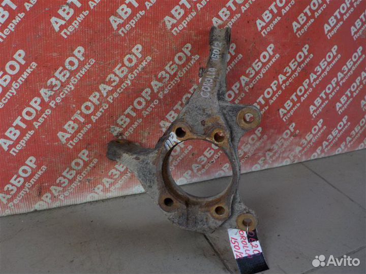 Поворотный кулак передний правый Toyota Corolla