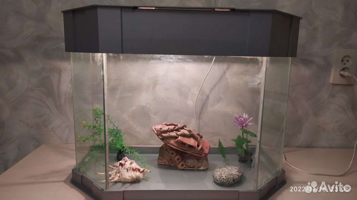 Аквариум