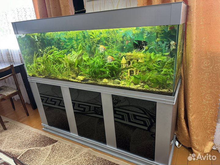 Аквариум