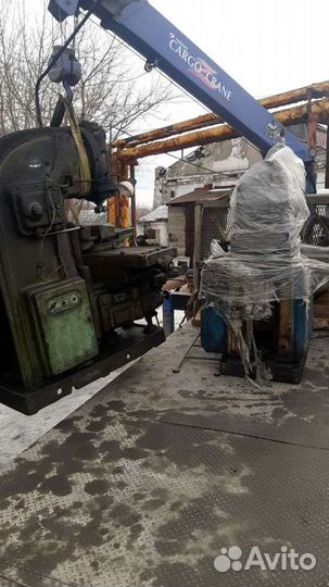 Представитель в городе Барнаул