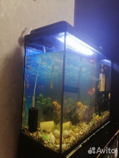 Аквариум с рыбками бу