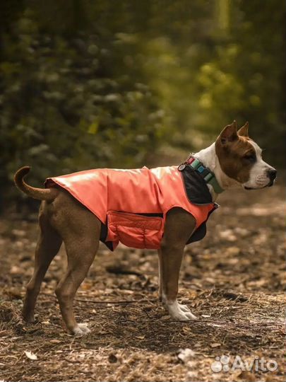 Костюм попона для собак