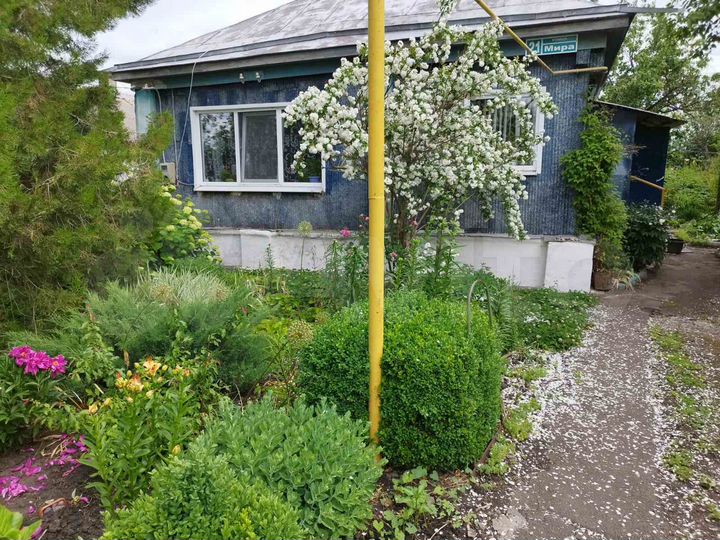 Дом 50 м² на участке 15 сот.