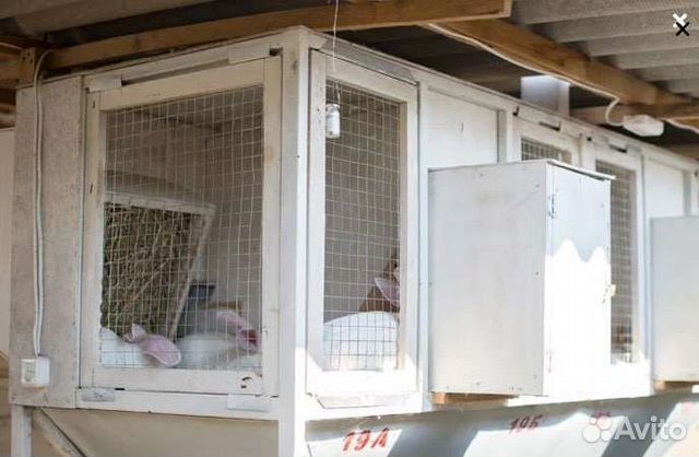 Ферма для кроликов