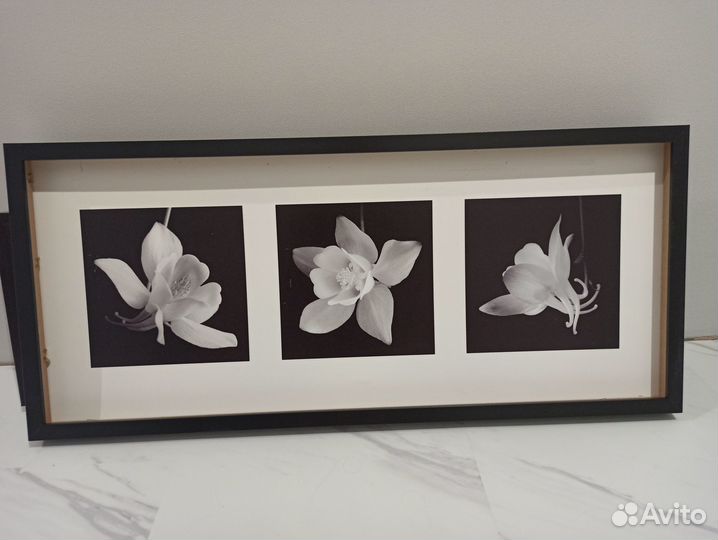 Декор настенные панно из сухоцветов