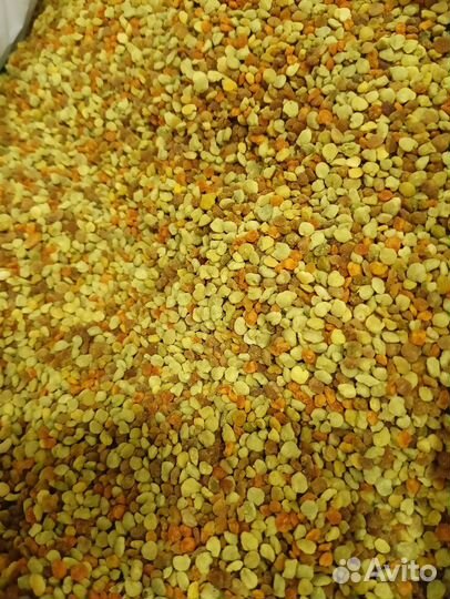 Мёд перга пыльца воск прополис