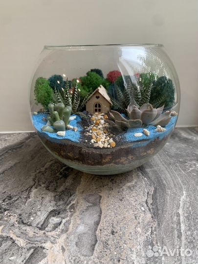Флорариум с суккулентами