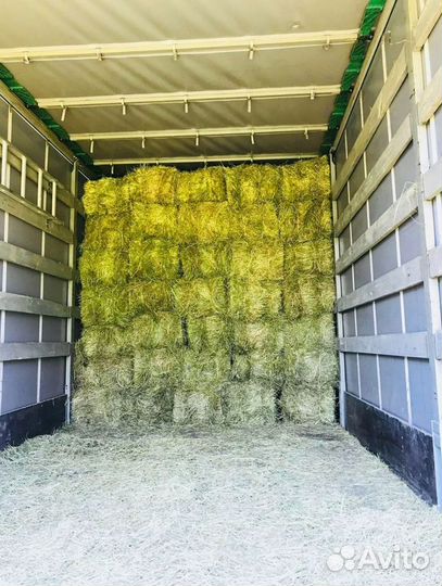 Сено и Стружка в тюках