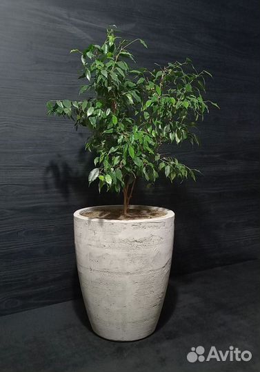 Вазоны, Горшки, Кашпо под заказ из бетона