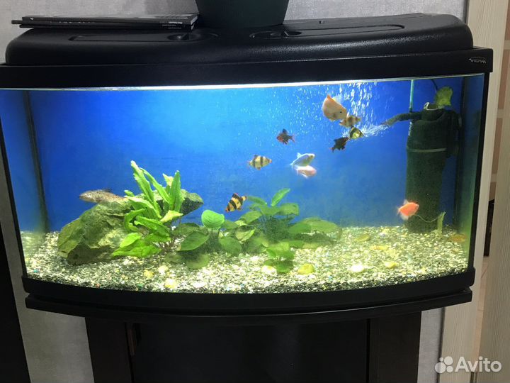 Аквариум с тумбой 100 литров
