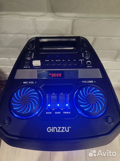 Портативная аудиосистема ginzzu GM-208