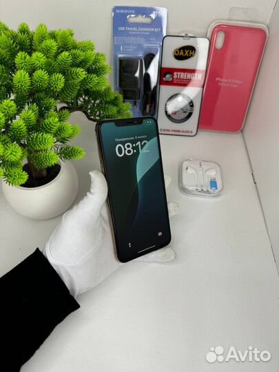 iPhone Xs Max, 256 ГБ