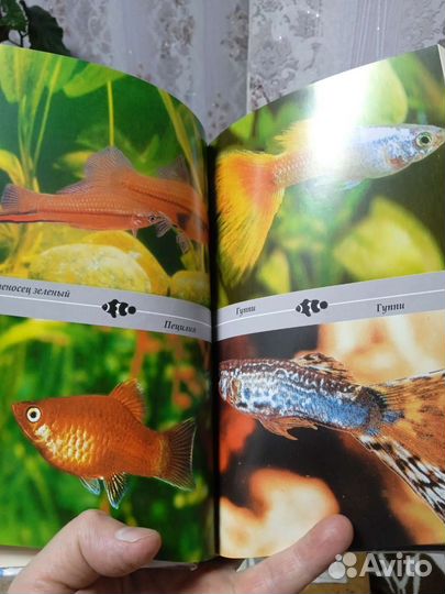 Энциклопедия о содержании и разведение рыбок