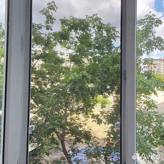 Москитная сетка за 1 день