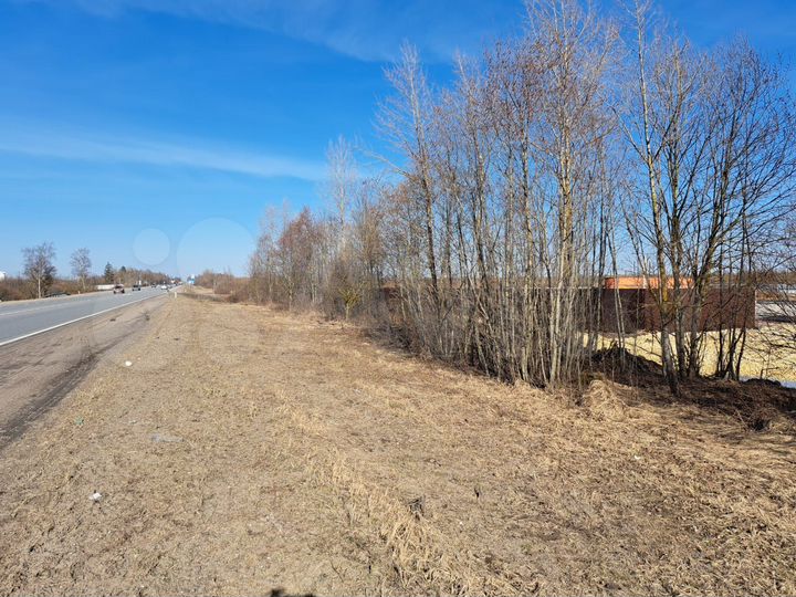 Участок 100 сот. (промназначения)