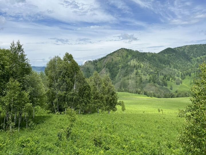 Участок 4,4 га (СНТ, ДНП)