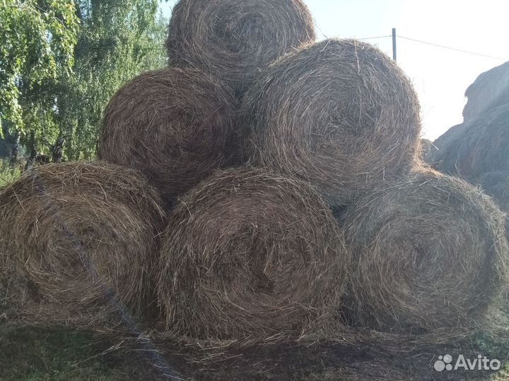 Сено в рулонах