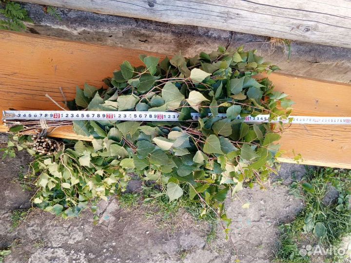 Веники для бани, липа