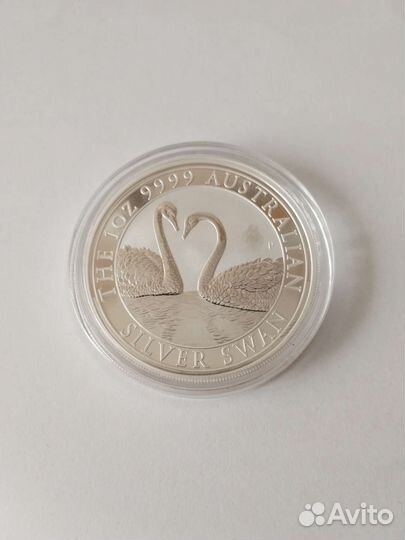 Лебедь 2022. Австралия. Серебро