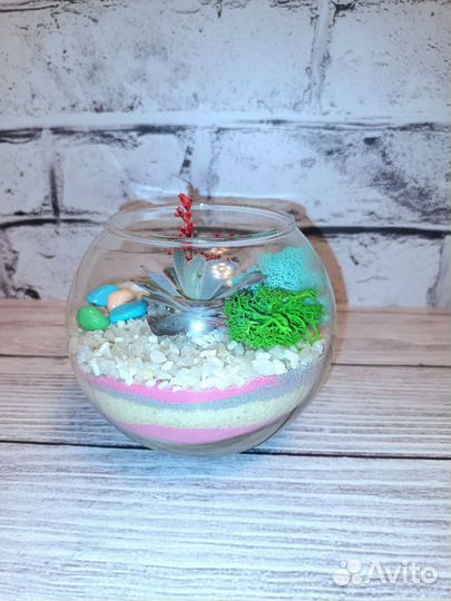 Флорариум, подарок, вместо цветов