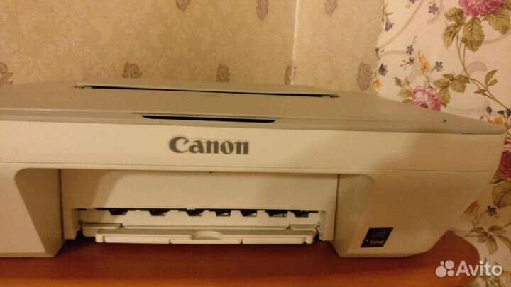 Мфу Canon MG2440