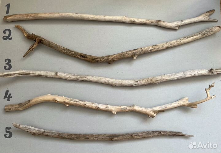 Палки, коряги, дрифтвуд