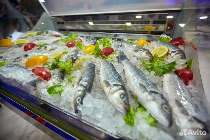 Продам прибыльный магазин рыбы и морепродуктов