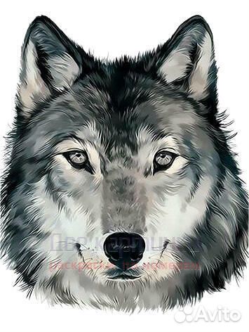 Картина по номерам 20x30 Портрет серого