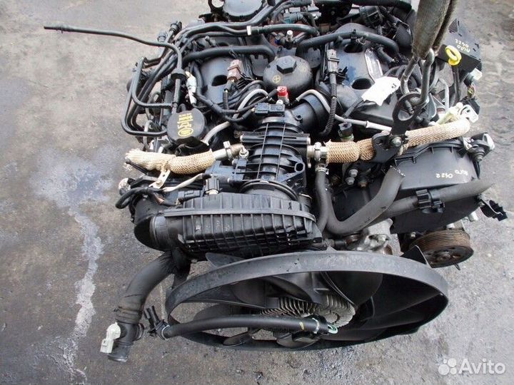 Двигатель Land-Rover Discovery 276DT 2008
