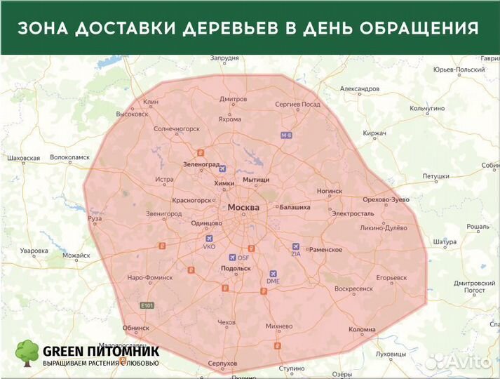 Смарагд,Брабант,колумна в ассортименте