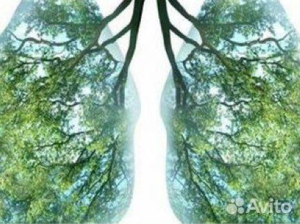 Кислородный аппарат для дыхания в домашних условия