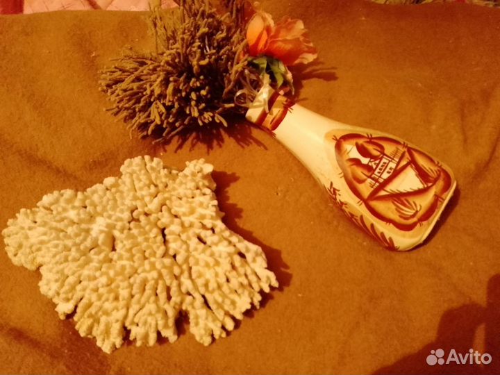 Кораллы.Морская звезда.Раковины аквариум