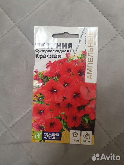 Семена петунии