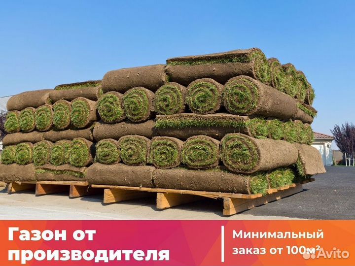 Рулонные газоны
