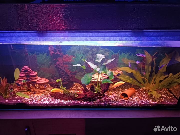 Аквариум с тумбой 125 л